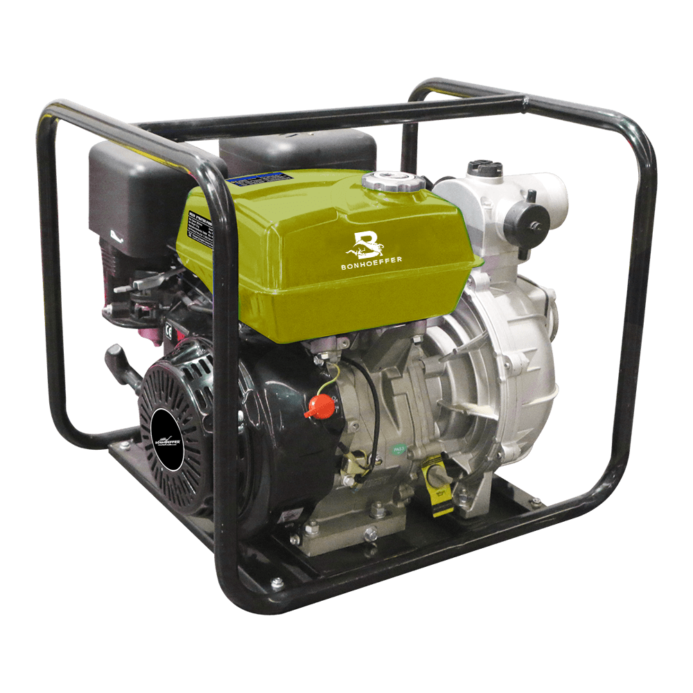 BON-P-WP3.0-420HL Water Pump